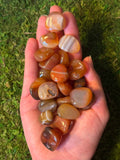 Red Agate Polished Tumble