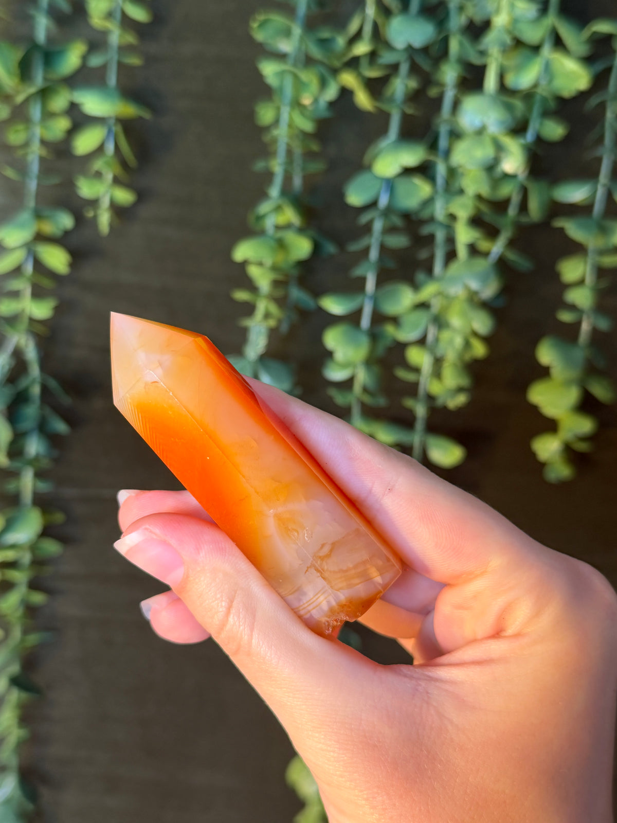 Carnelian Tower #6