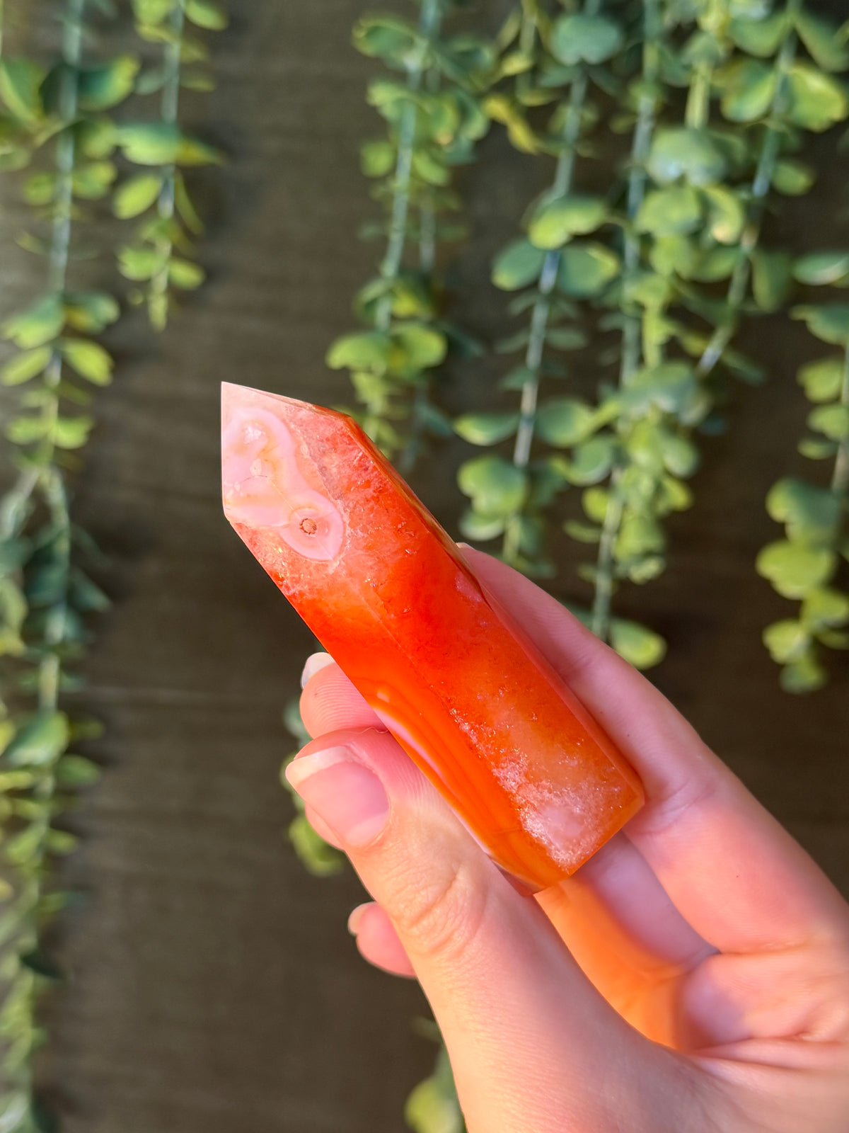 Carnelian Tower #11