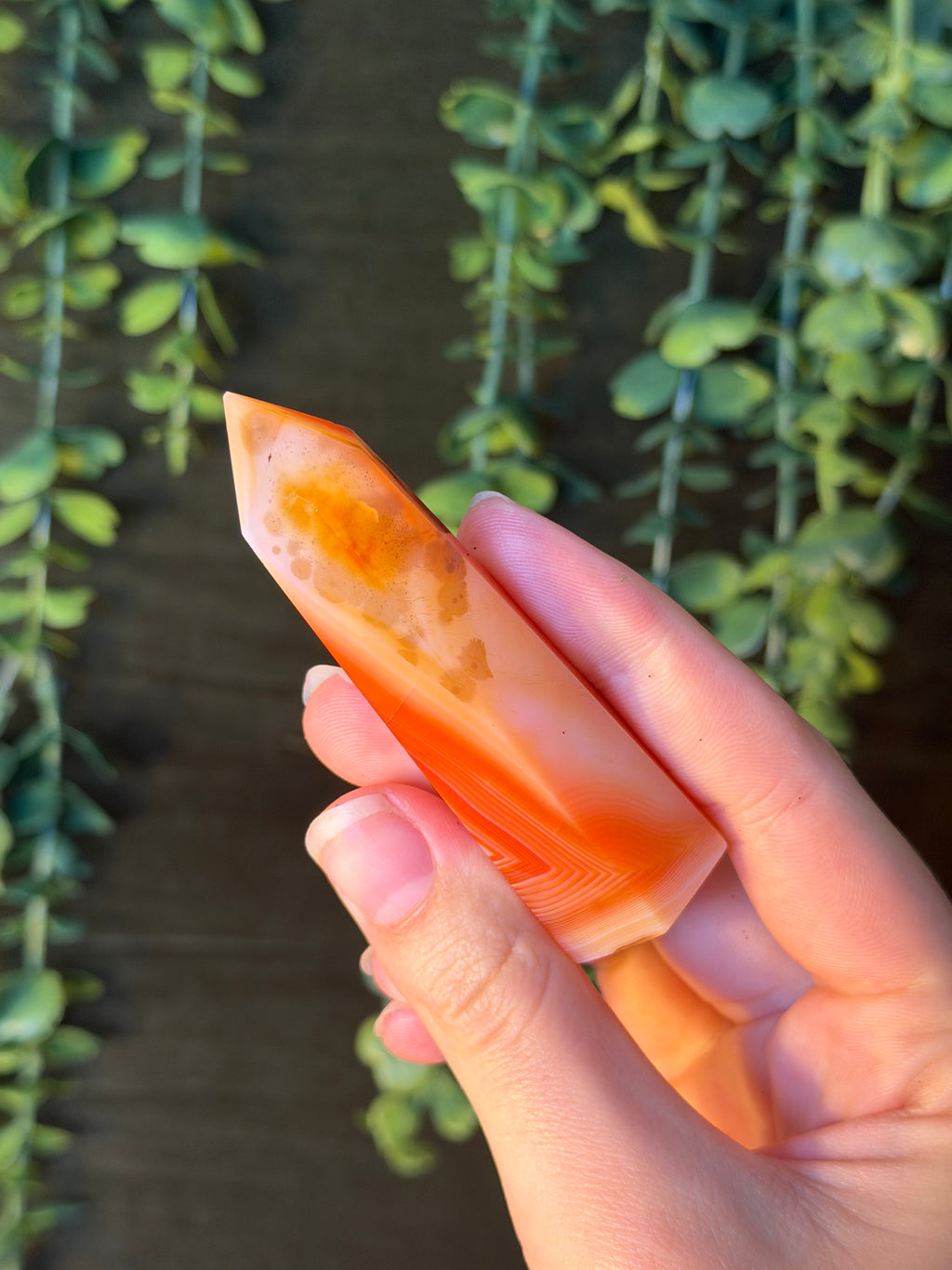 Carnelian Tower #9