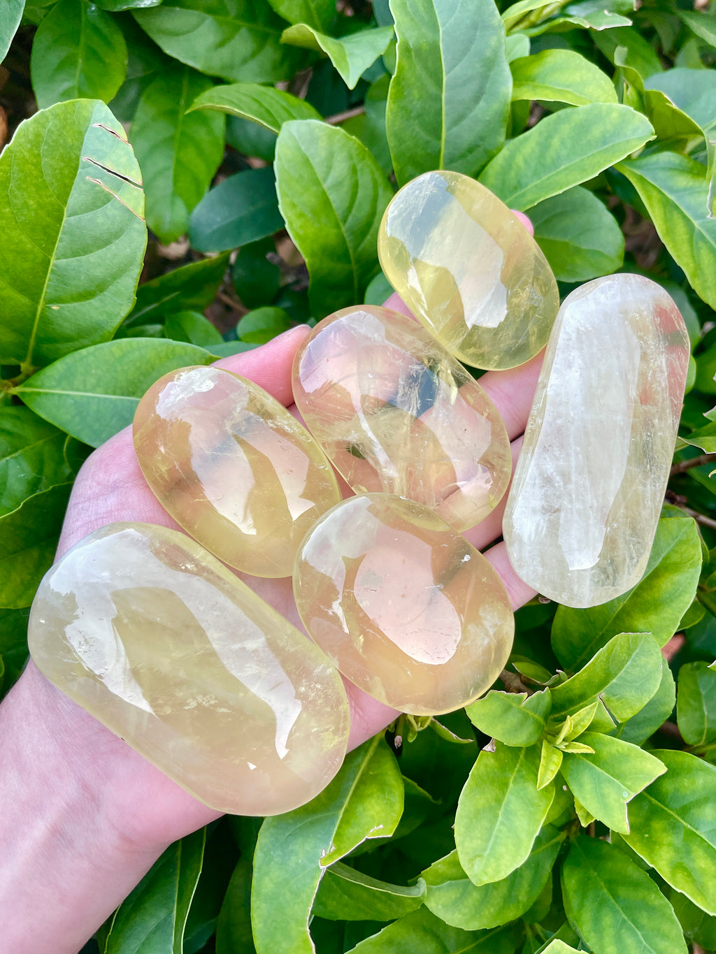 Citrine Palm Stone