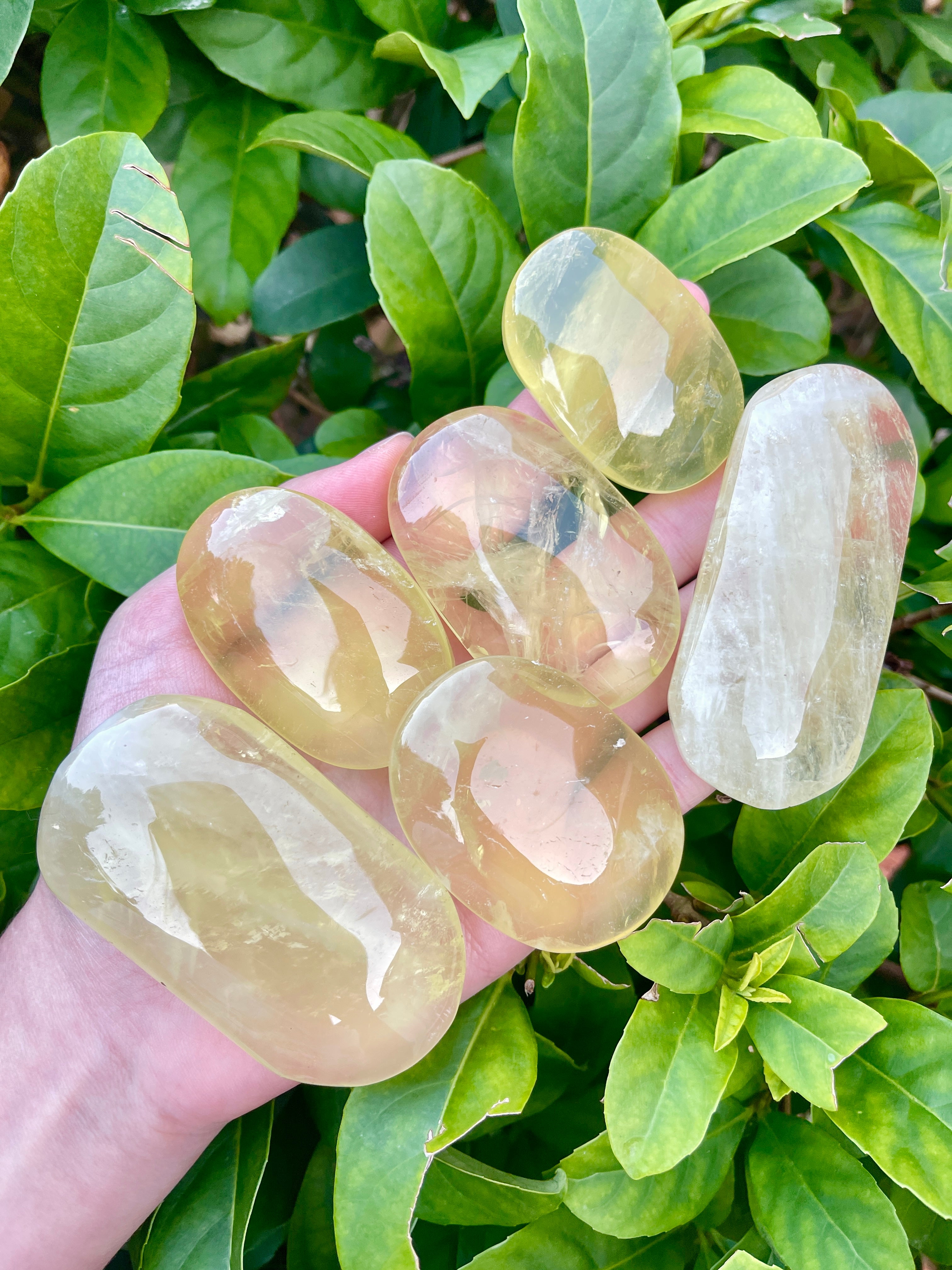 Citrine Palm Stone