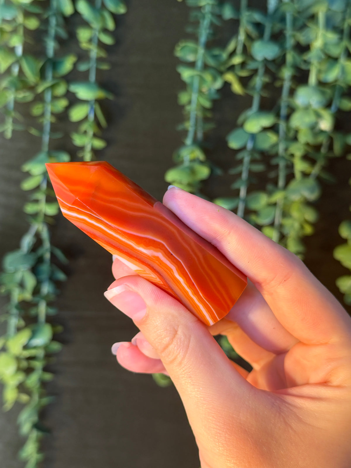 Carnelian Tower #8