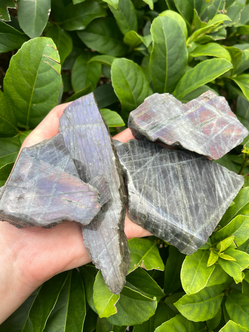 Labradorite High Flash Freeform