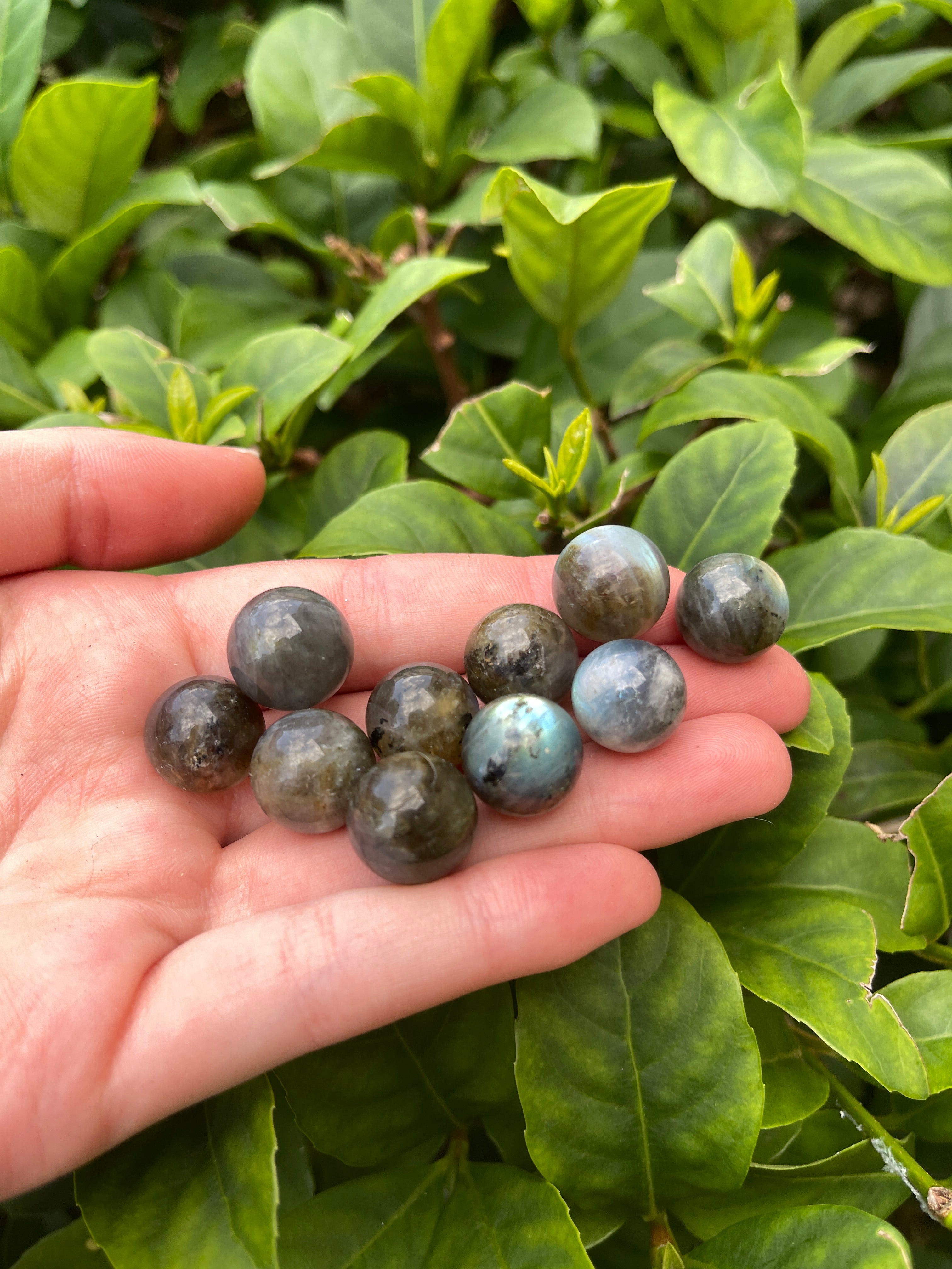 Labradorite High Flash Minis Sphere ￼