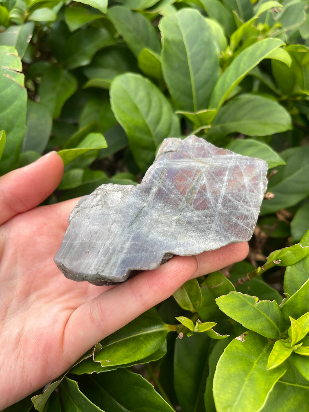 Labradorite High Flash Freeform
