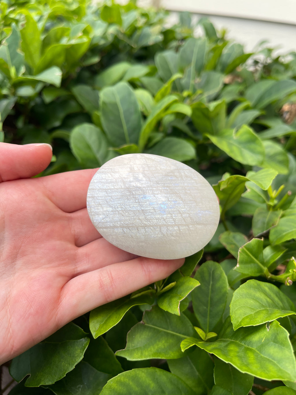 Flashy Moonstone Palmstone