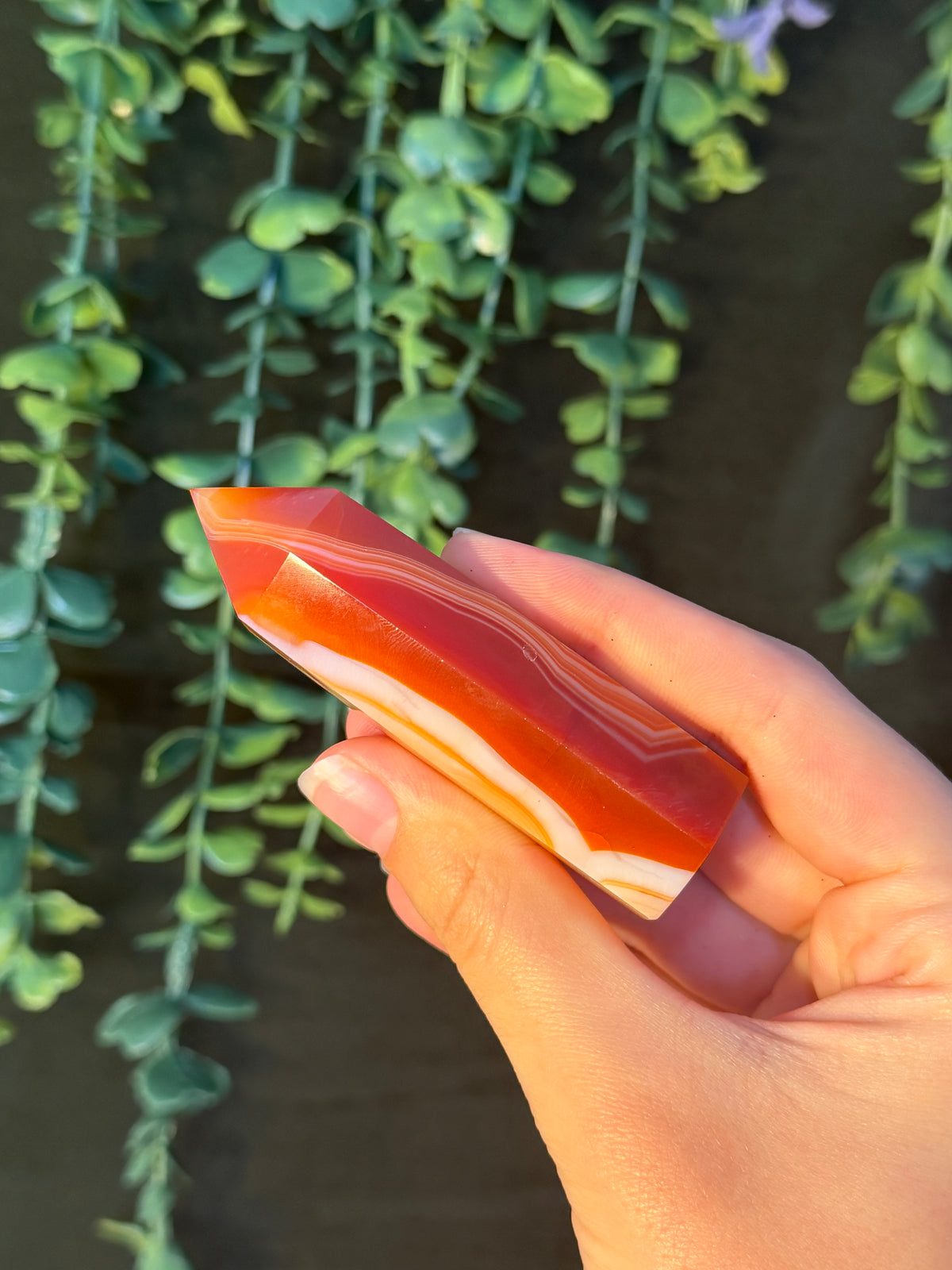 Carnelian Tower #3