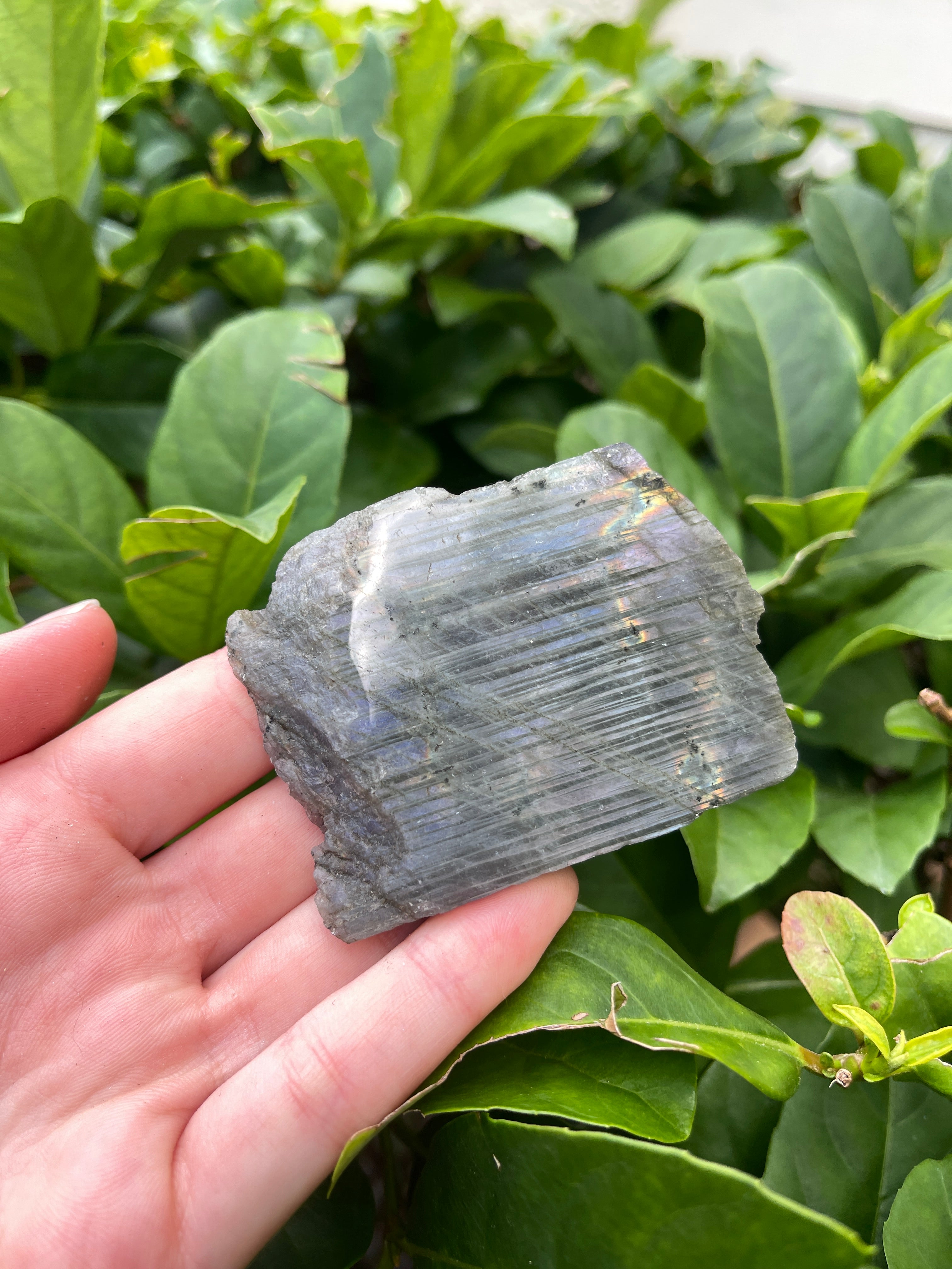 Labradorite High Flash Freeform