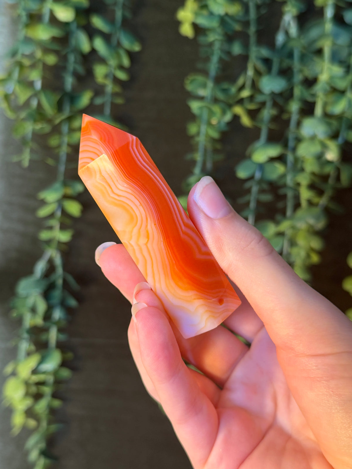 Carnelian Tower #7