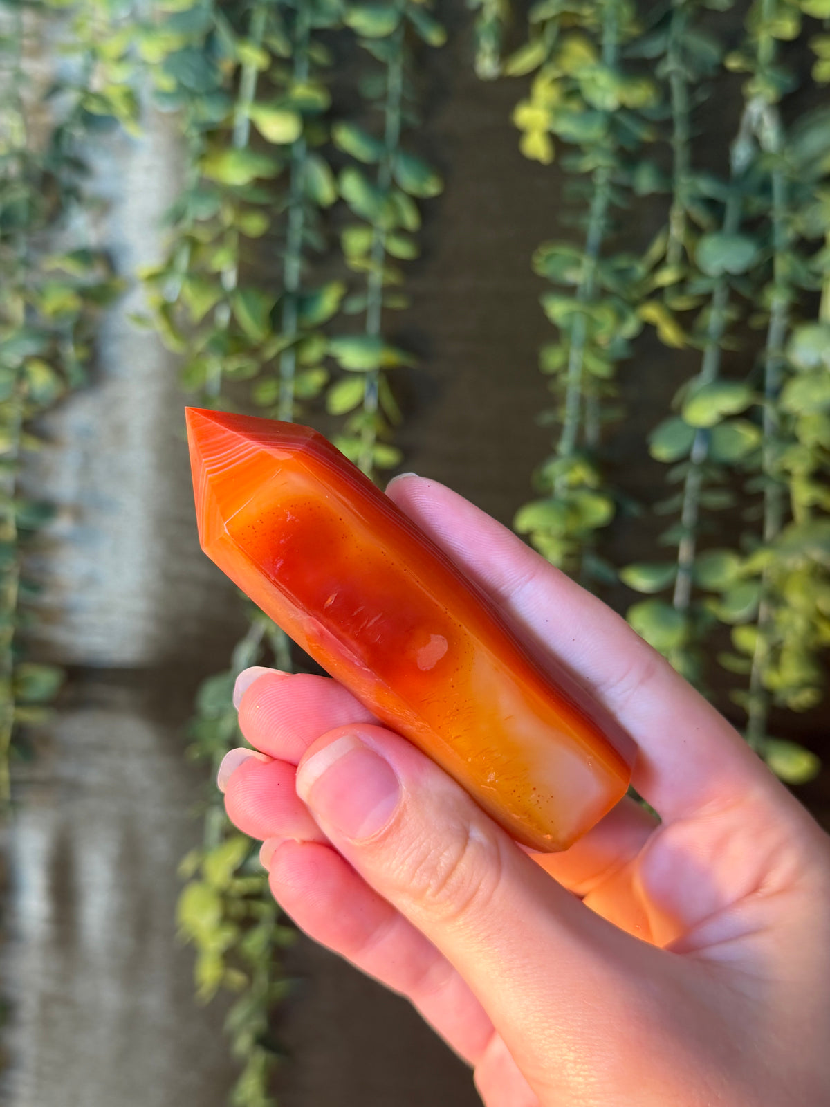 Carnelian Tower #10