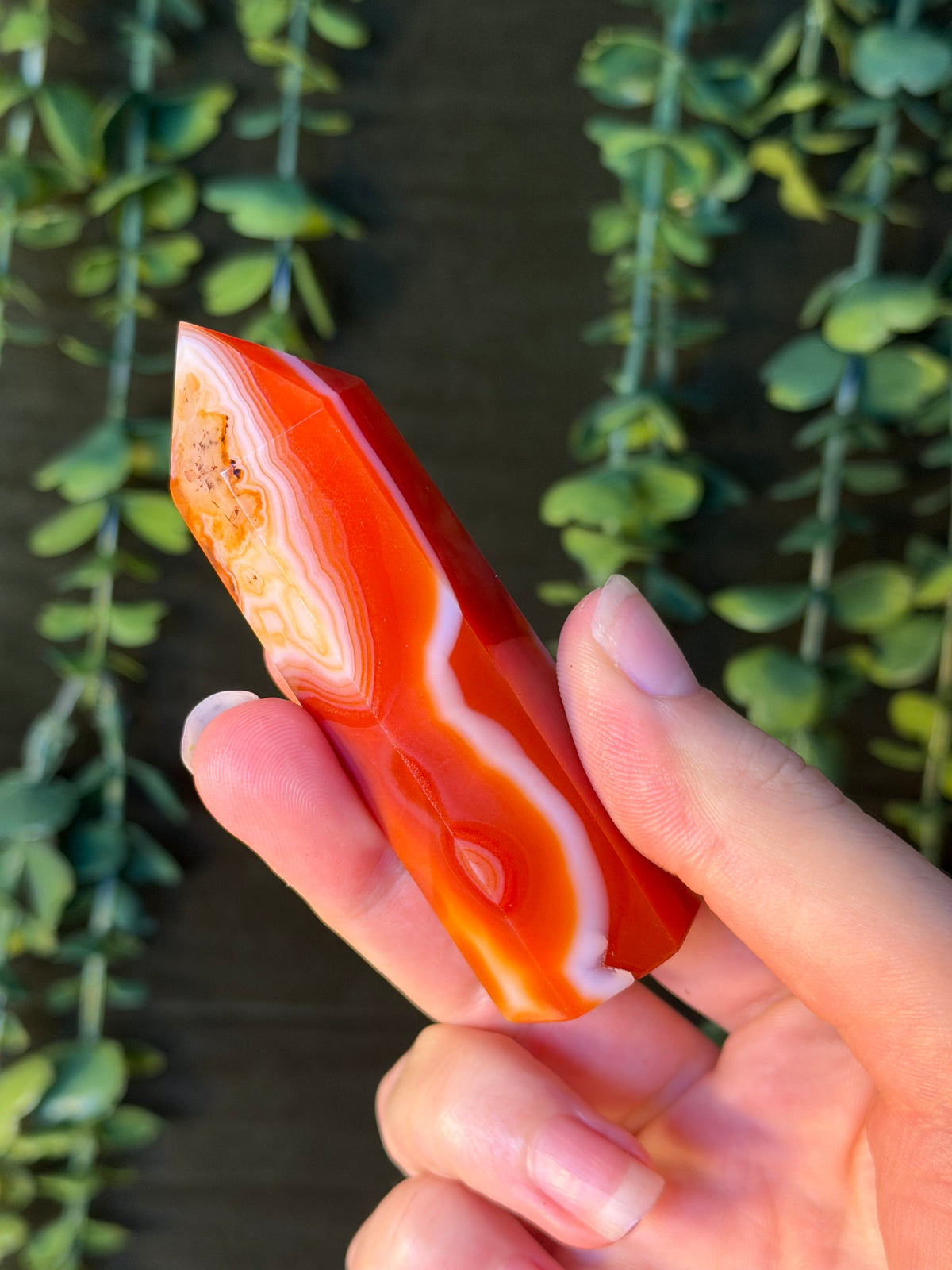 Carnelian Tower #12