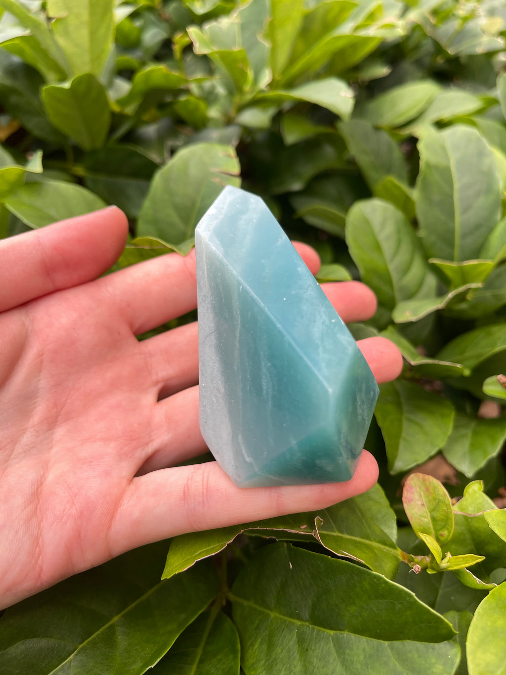 Caribbean Calcite XL Freeform ￼