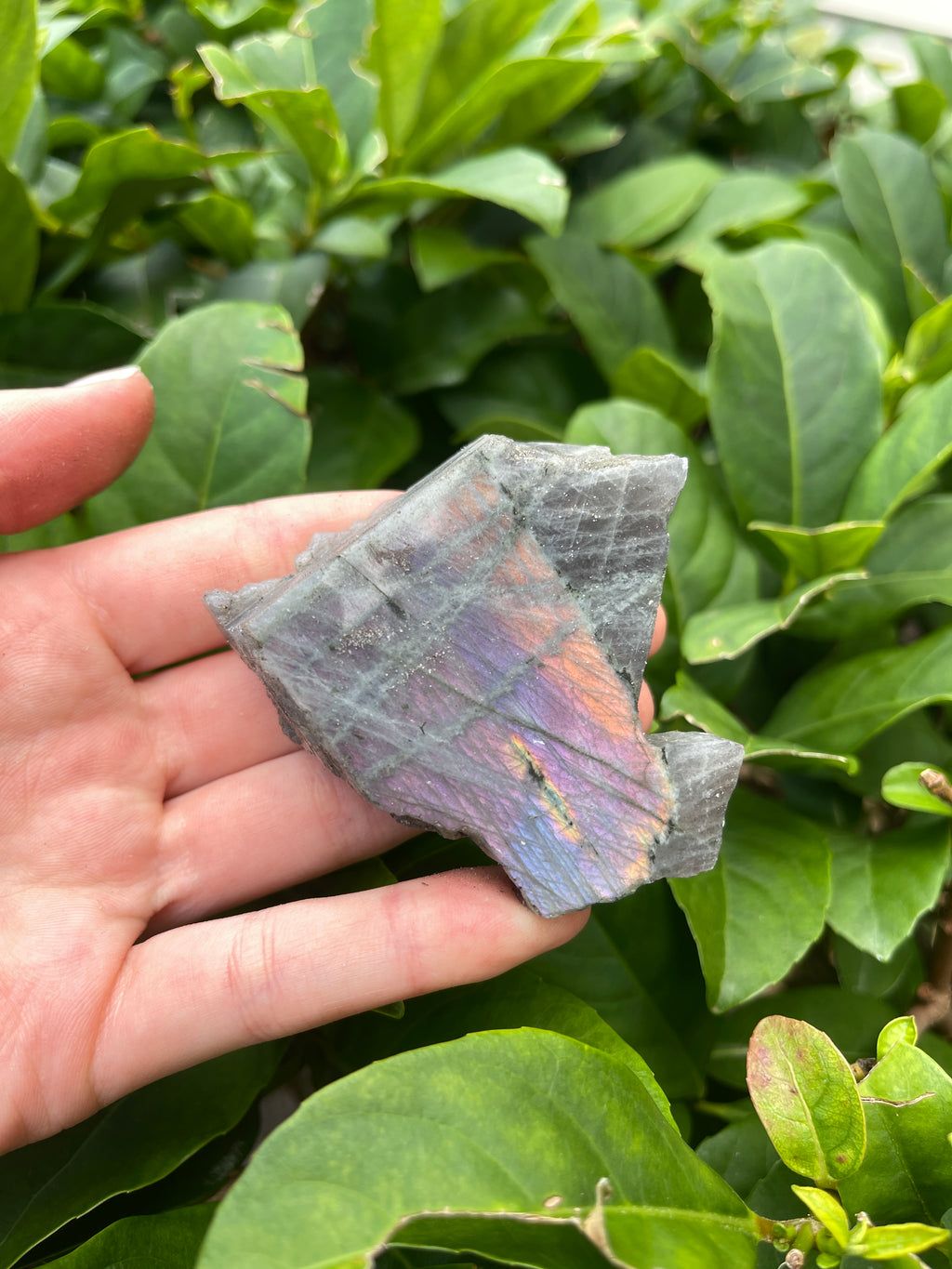 Labradorite High Flash Freeform
