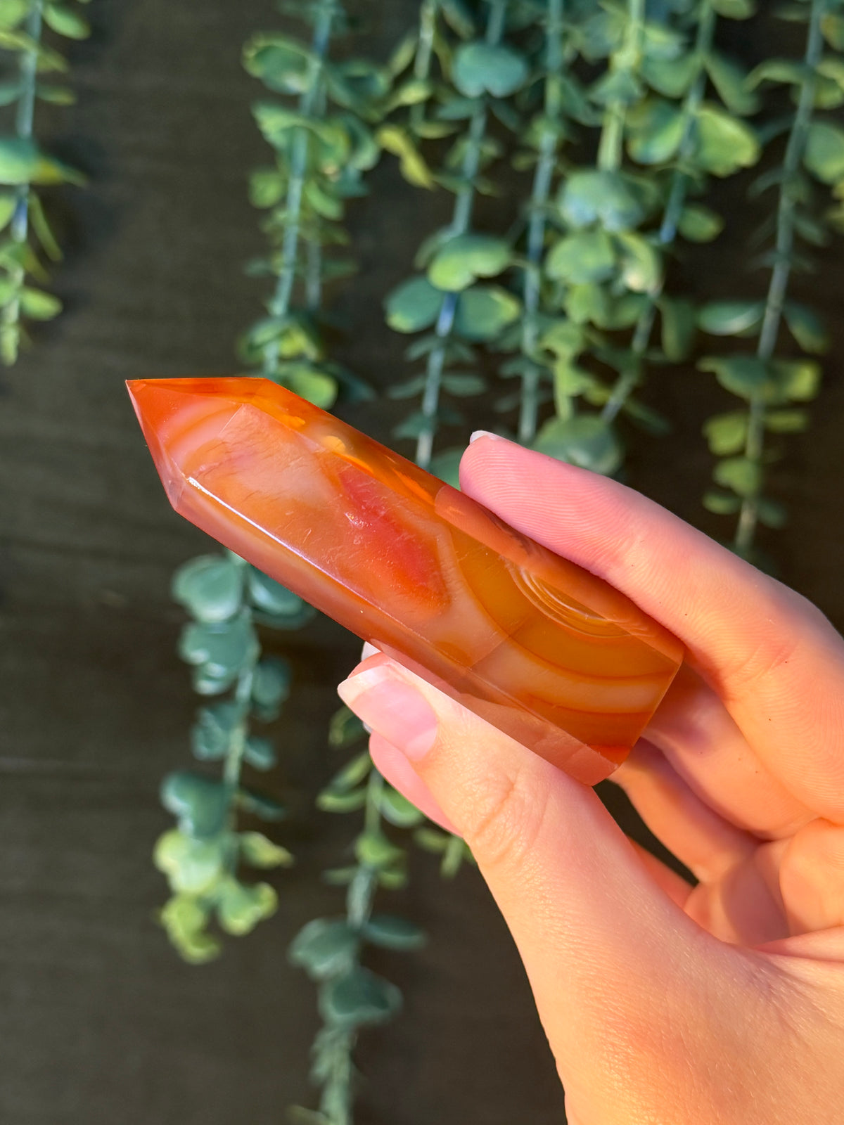 Carnelian Tower #4