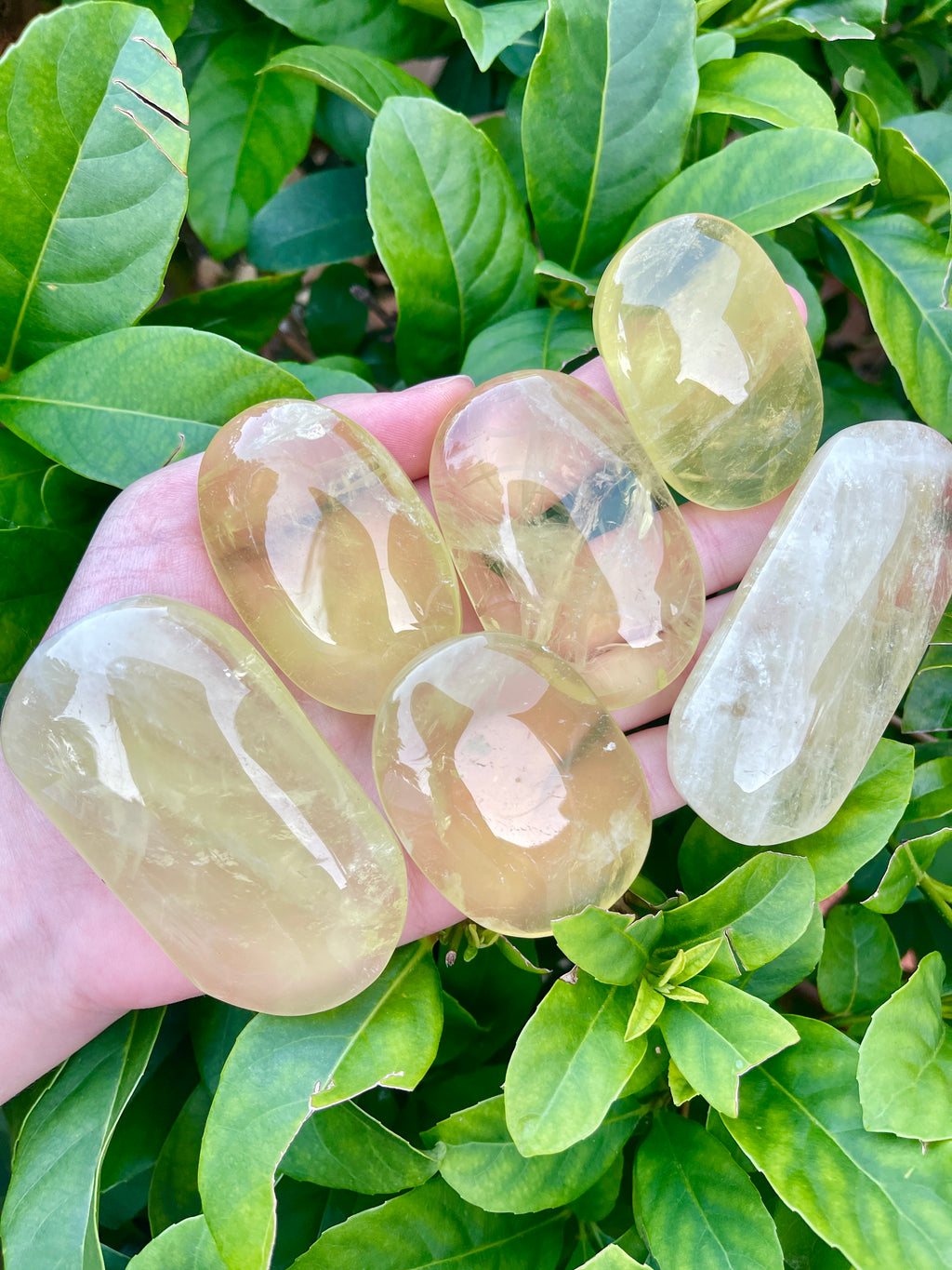 Citrine Palm Stone