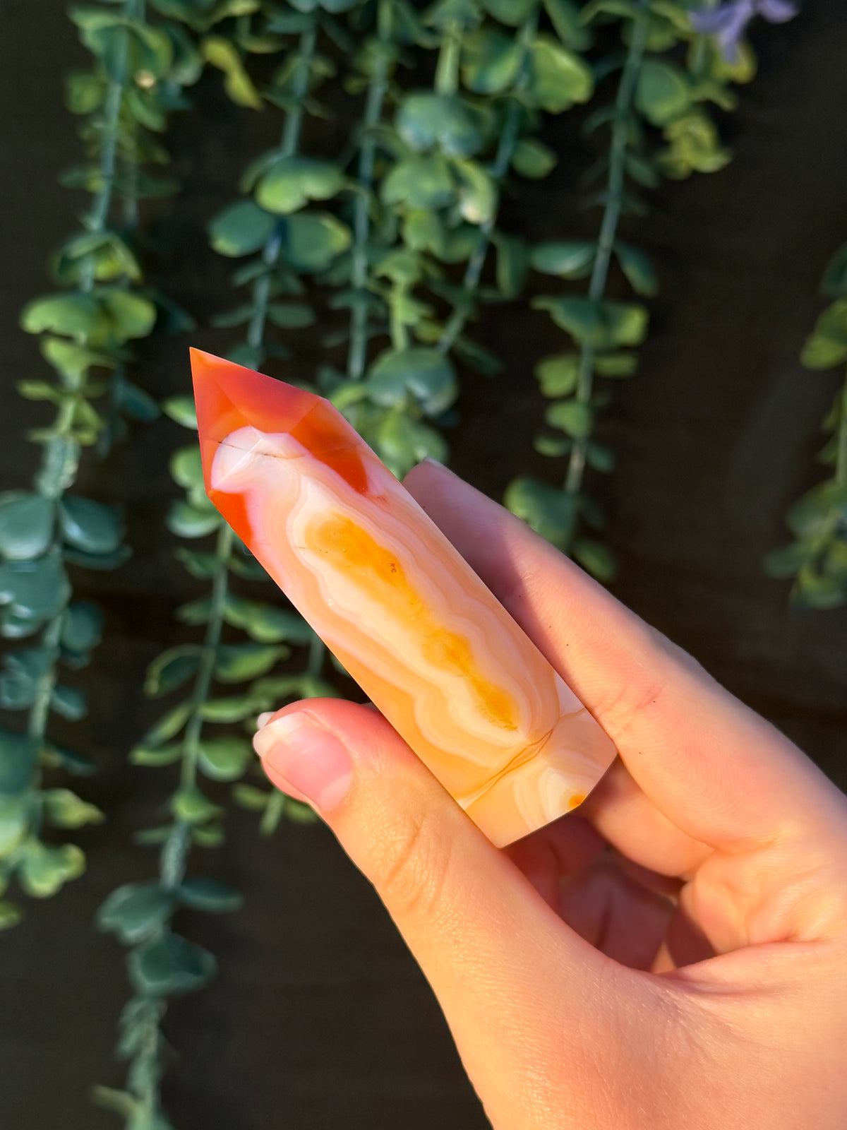 Carnelian Tower #3