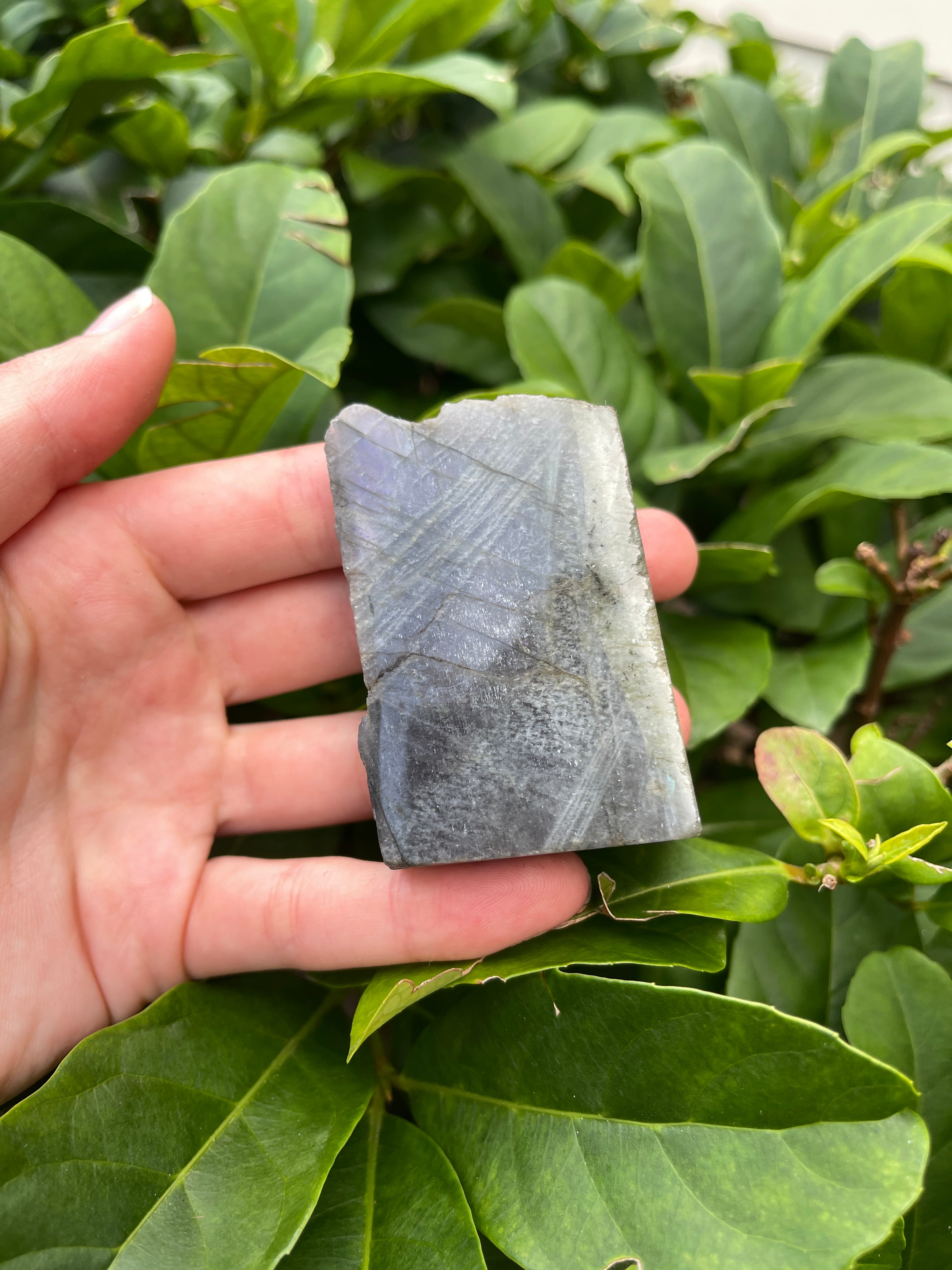 Labradorite High Flash Freeform