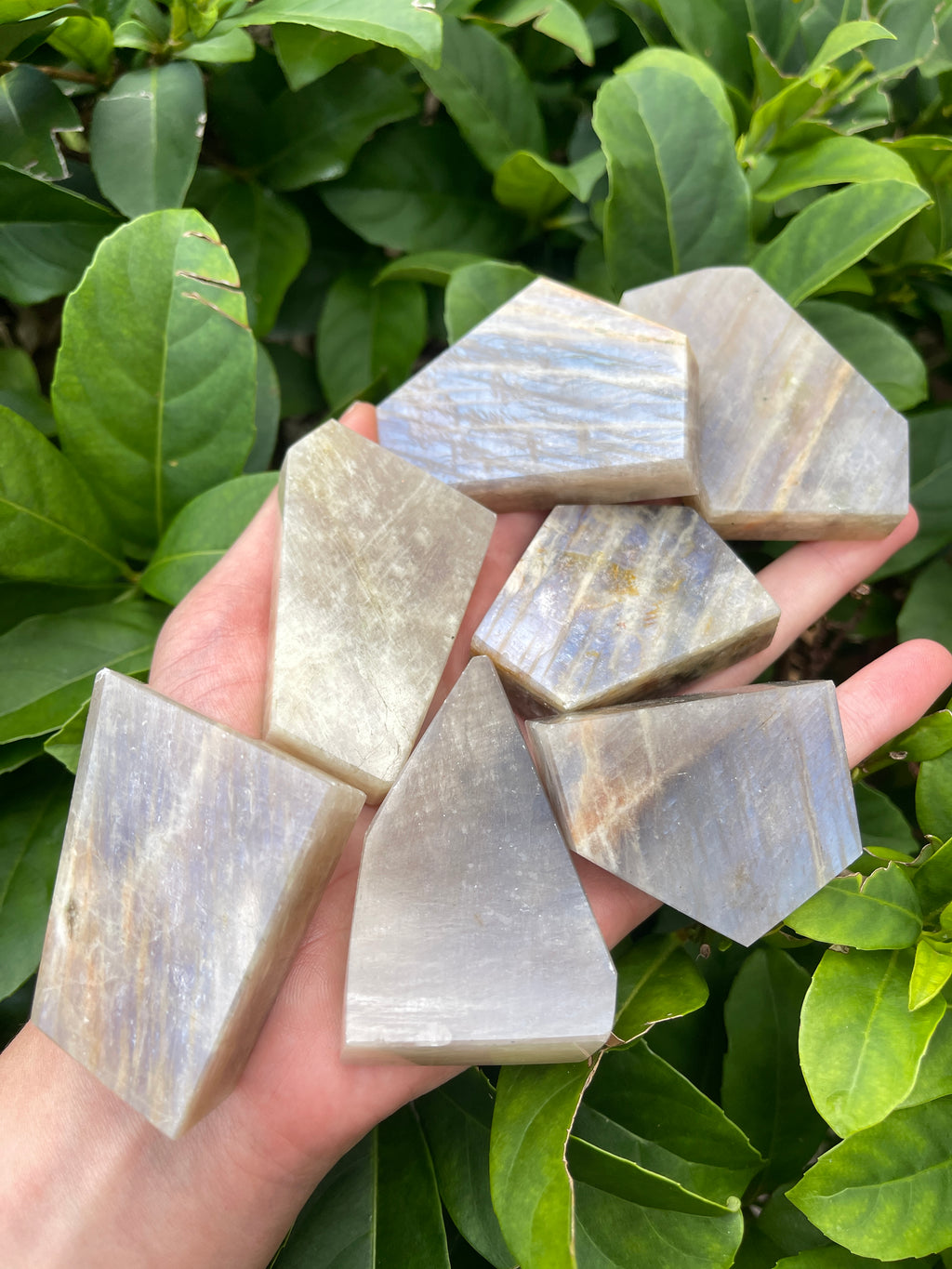 Moonstone Flashy Freeform