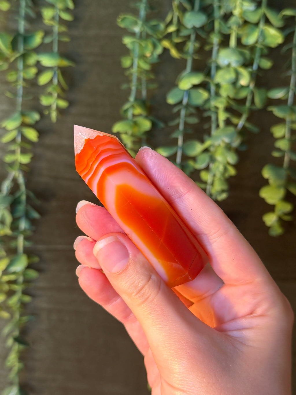 Carnelian Tower #11