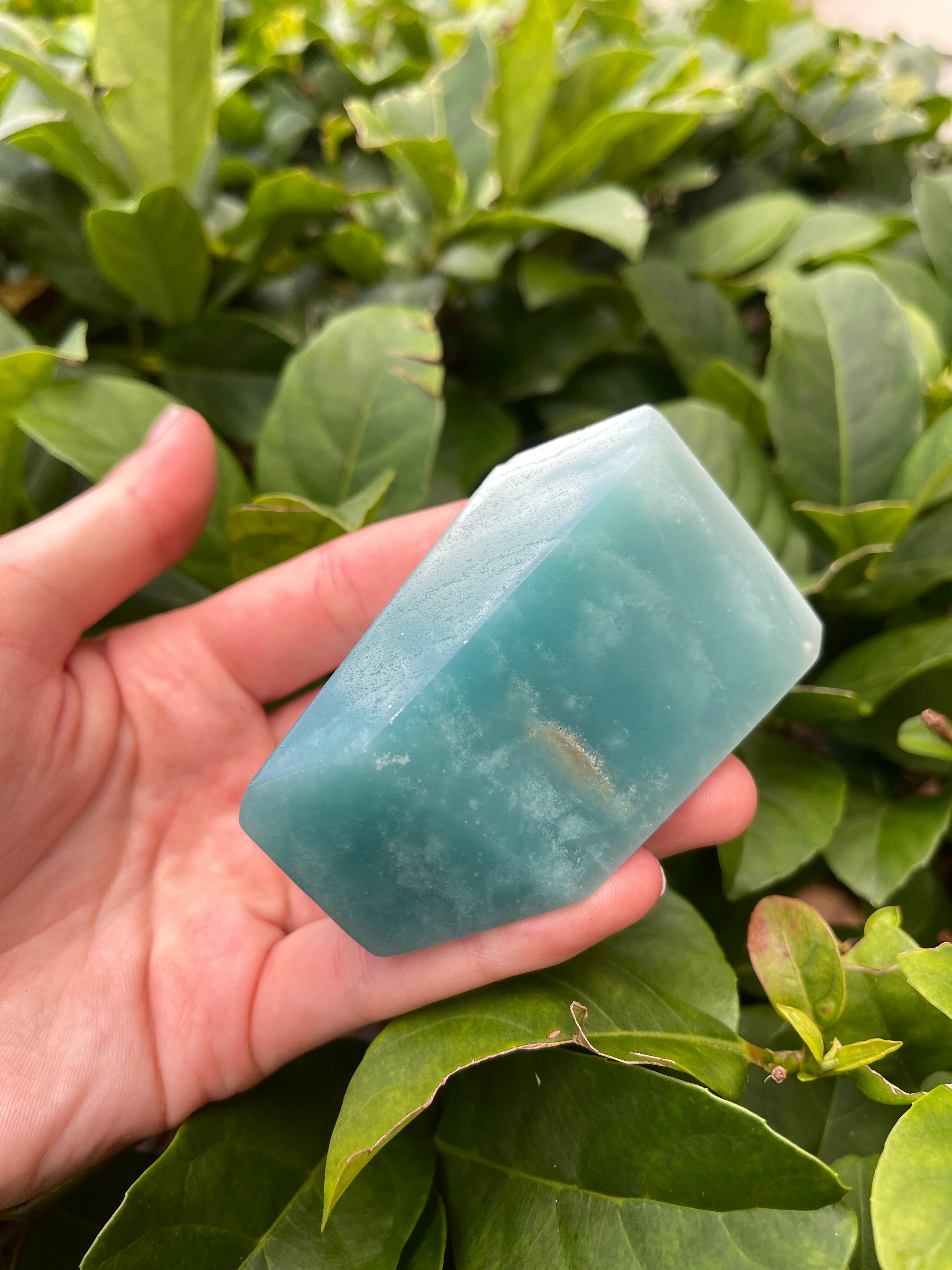 Caribbean Calcite XL Freeform ￼