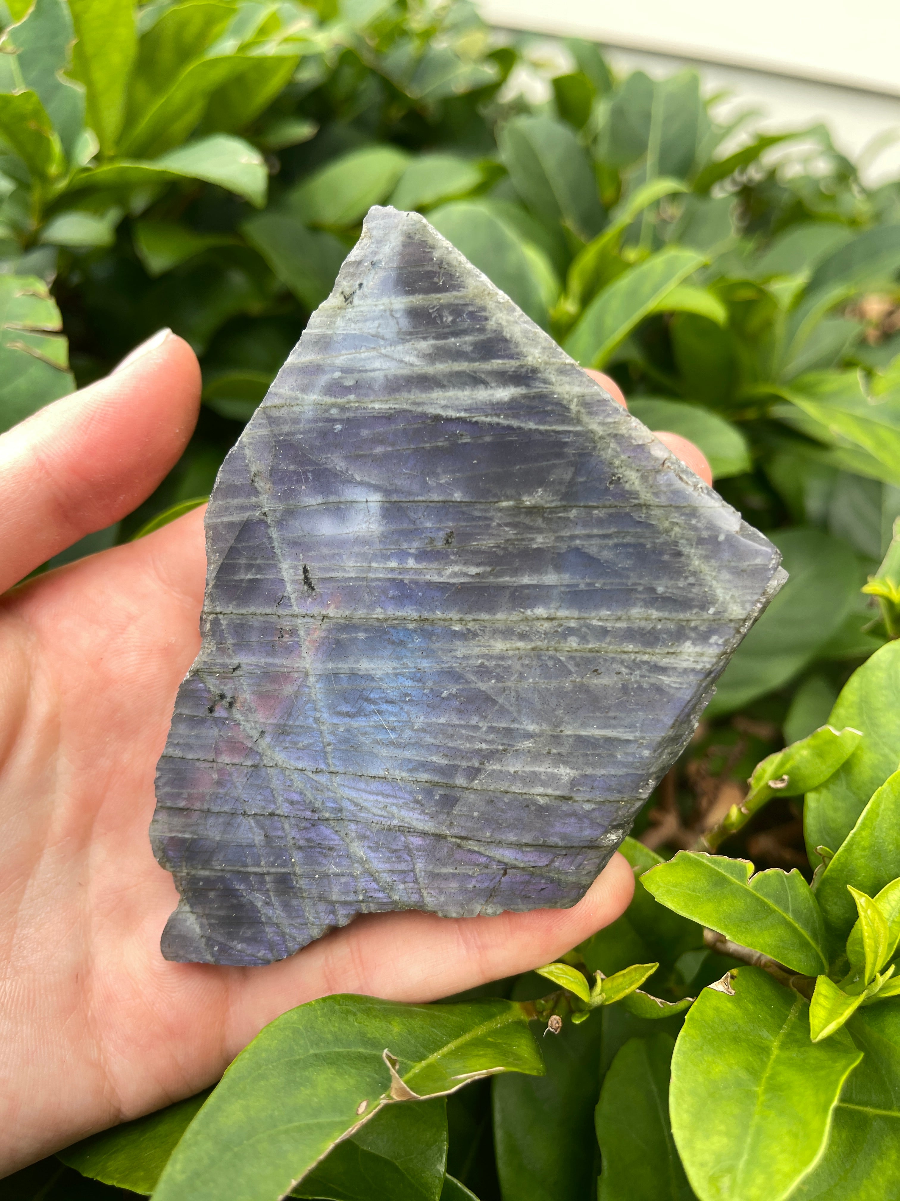 Labradorite High Flash Freeform