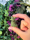 Tree Jasper fox craving