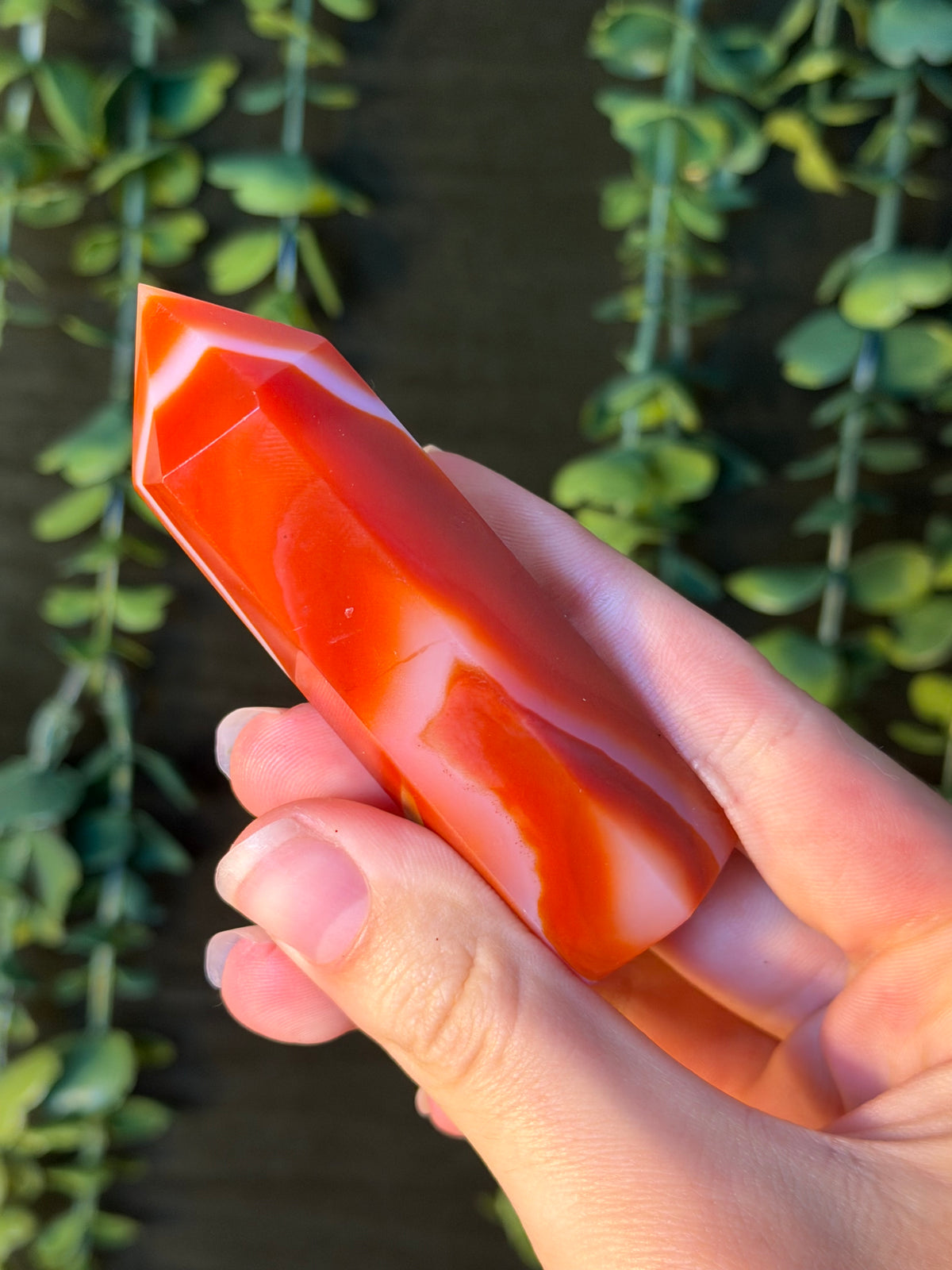 Carnelian Tower #12
