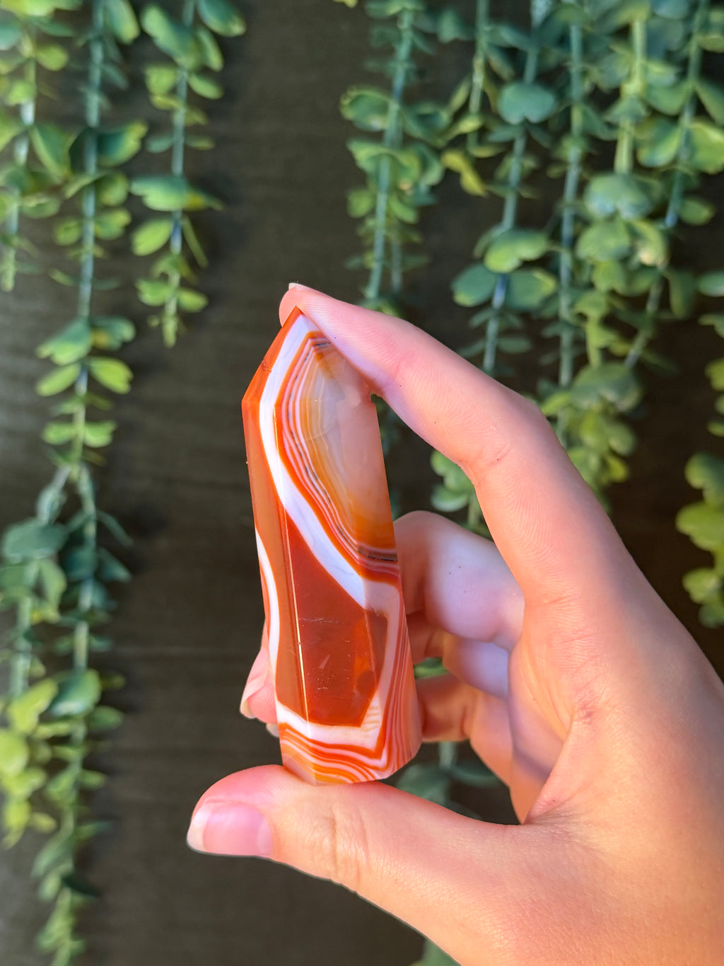 Carnelian Tower #5