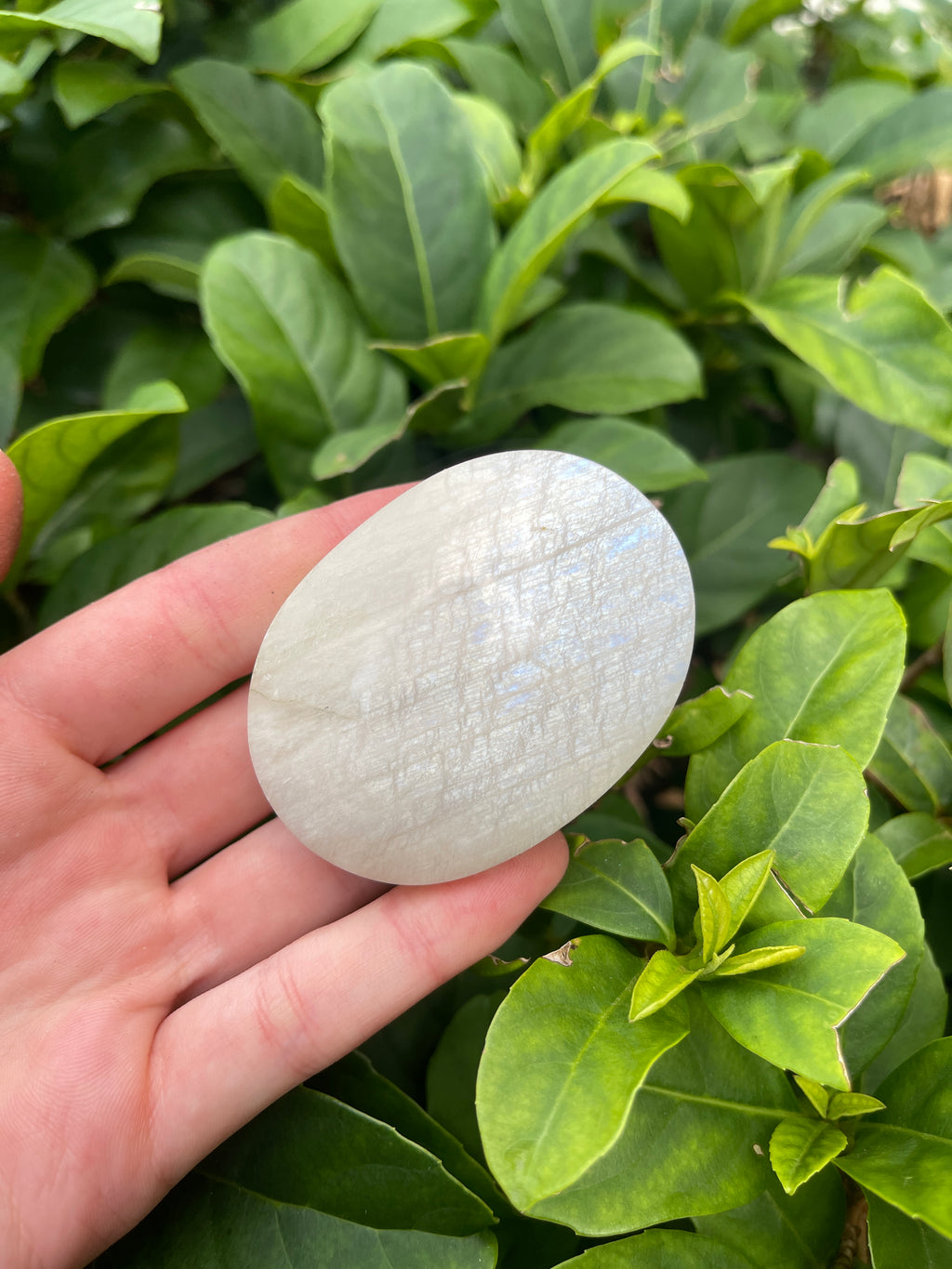 Flashy Moonstone Palmstone
