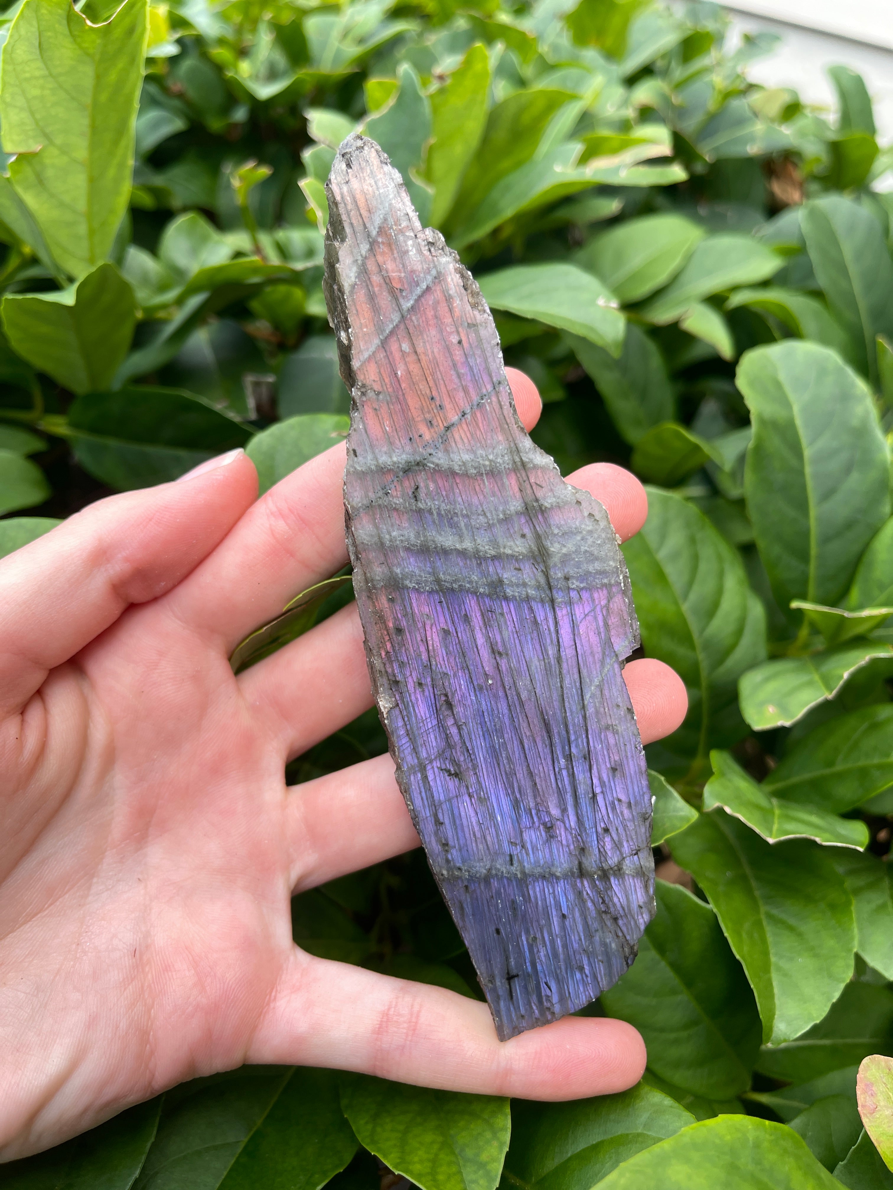Labradorite High Flash Freeform