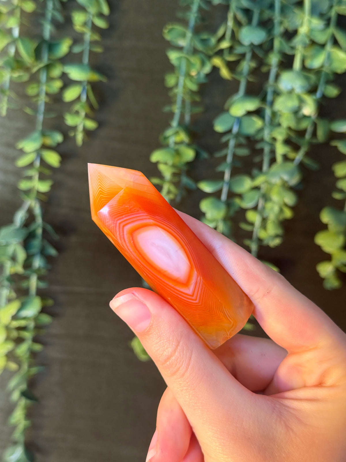 Carnelian Tower #6