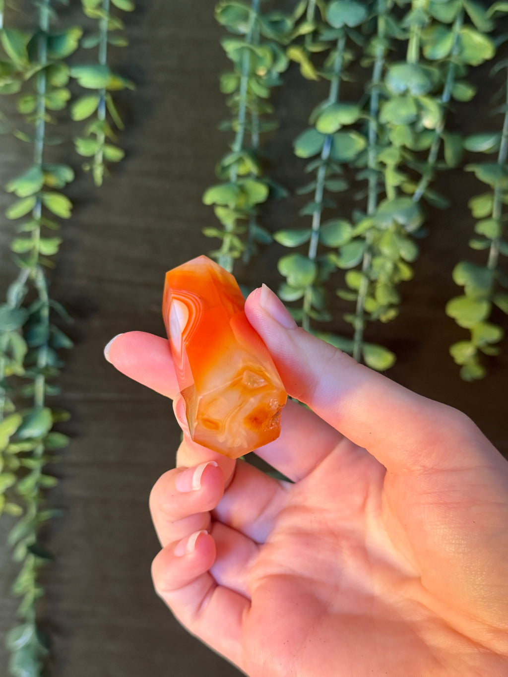 Carnelian Tower #6