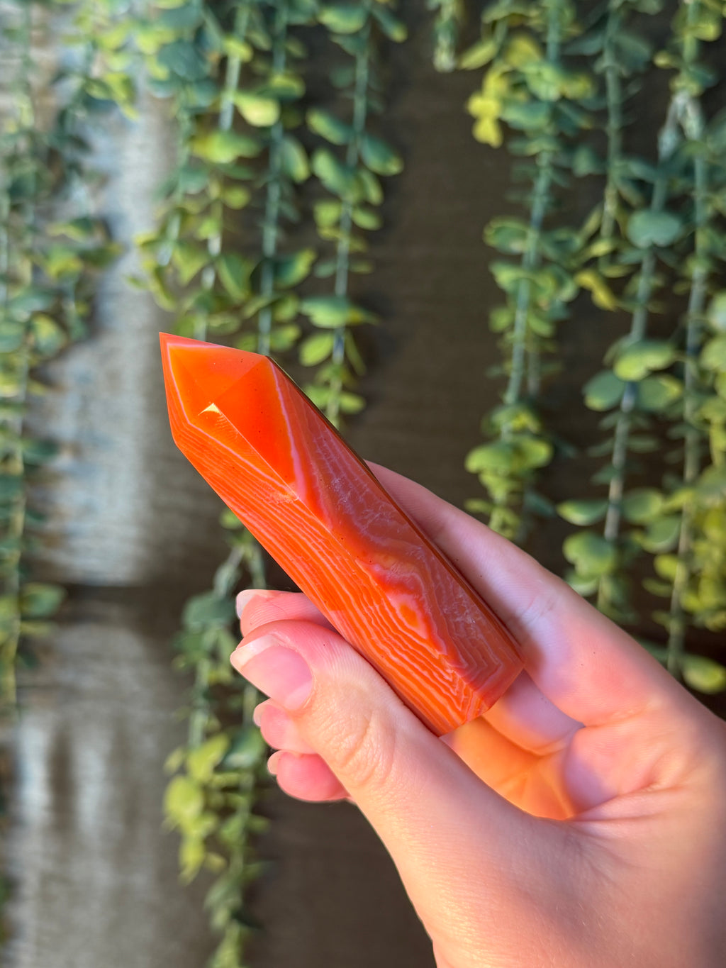 Carnelian Tower #10