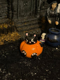 Small Pumpkin Kitty