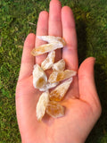 Citrine High Quality Mini Point