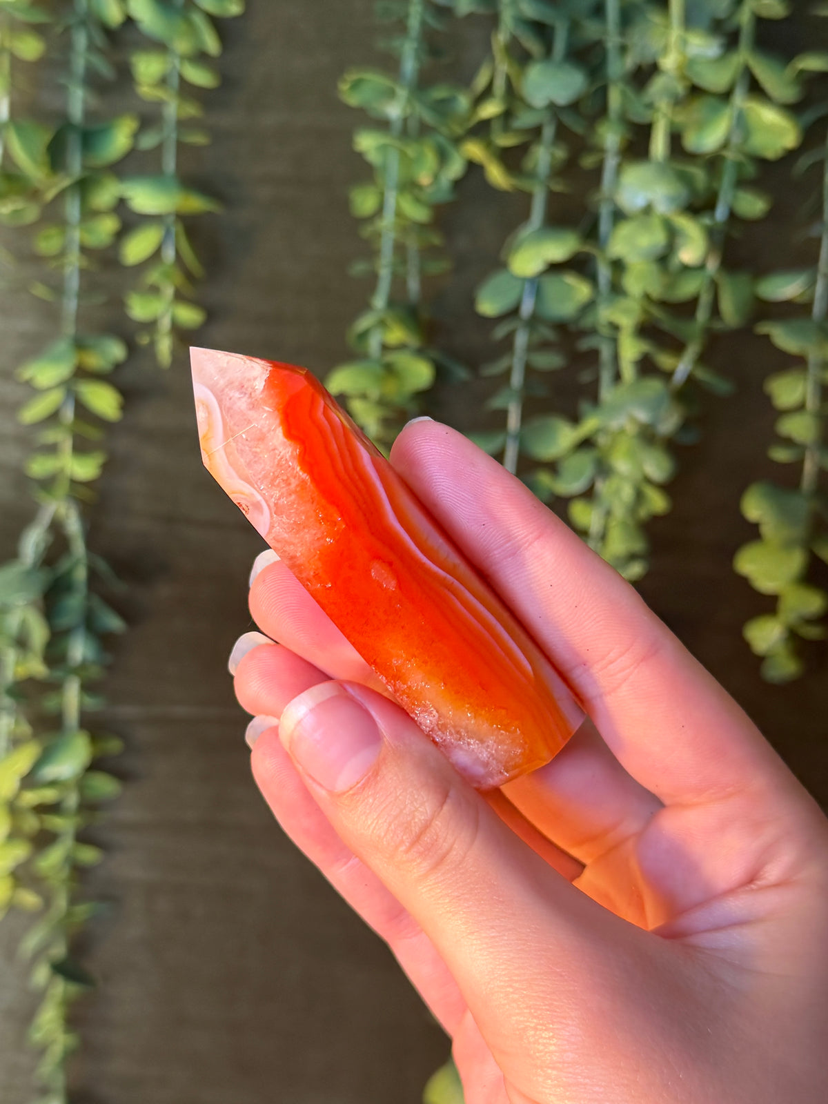 Carnelian Tower #11