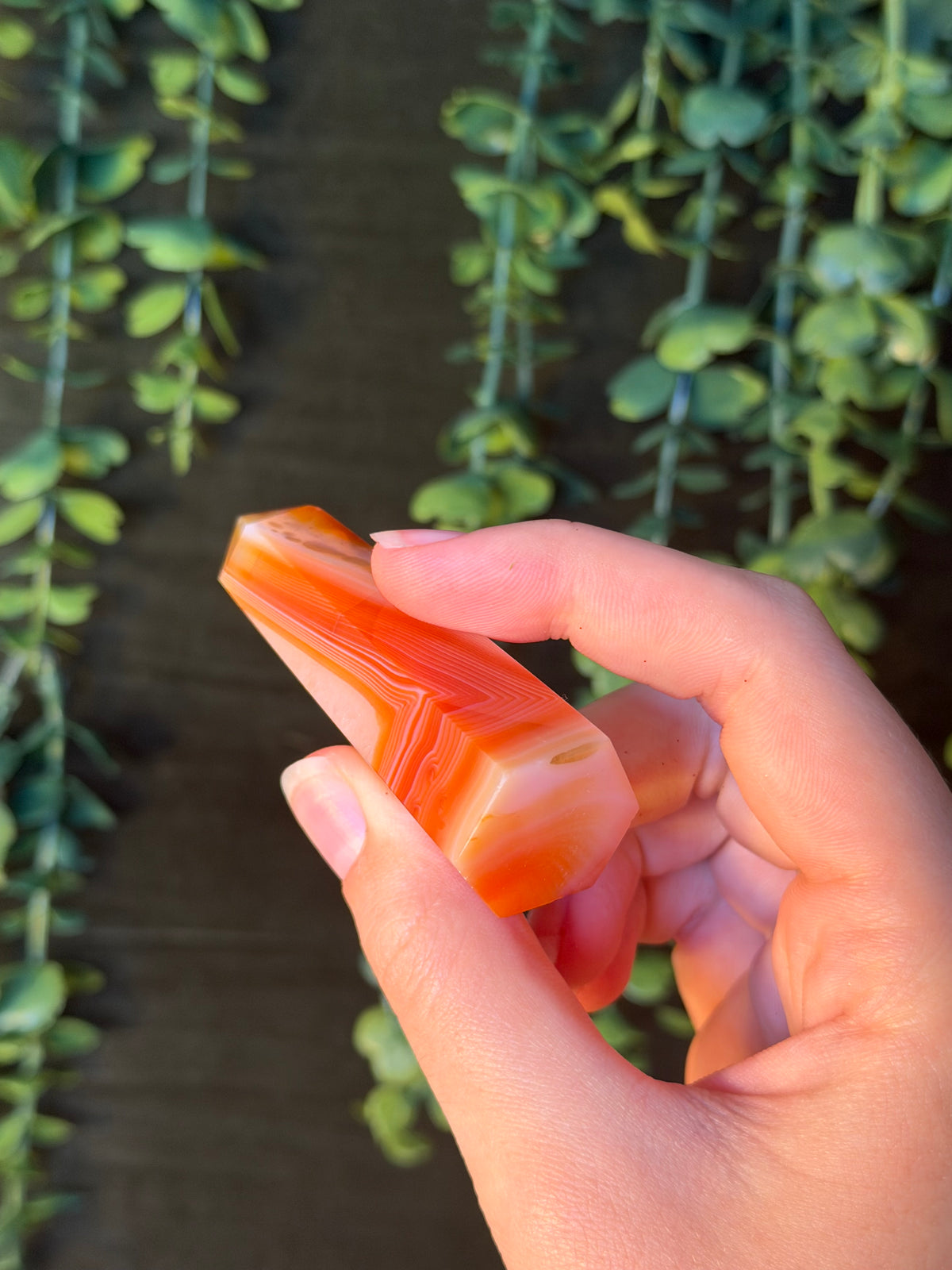 Carnelian Tower #9