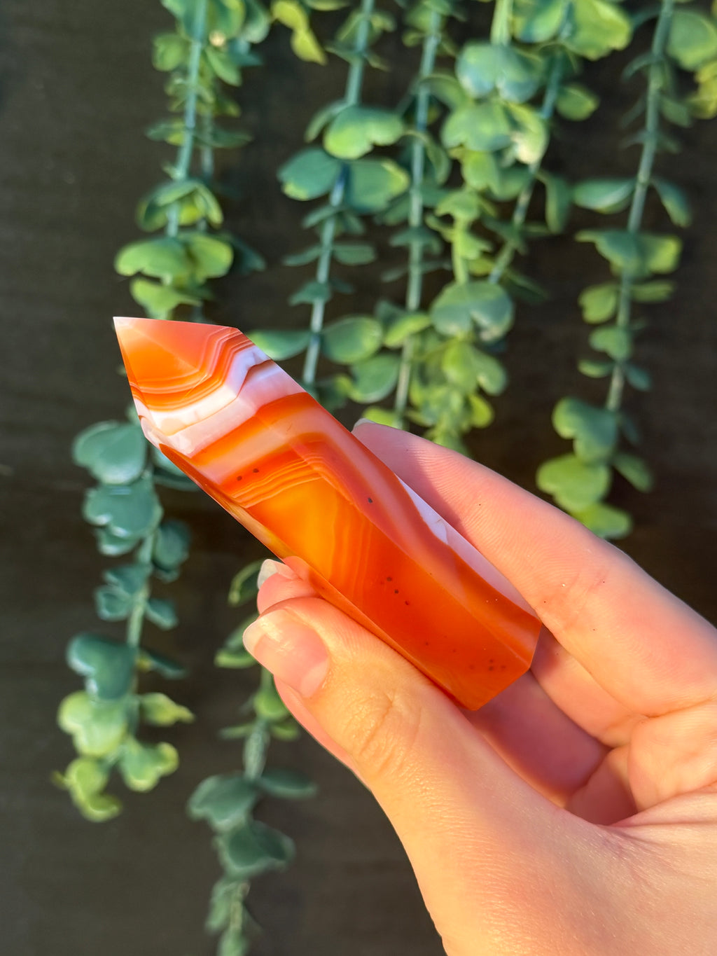 Carnelian Tower #2