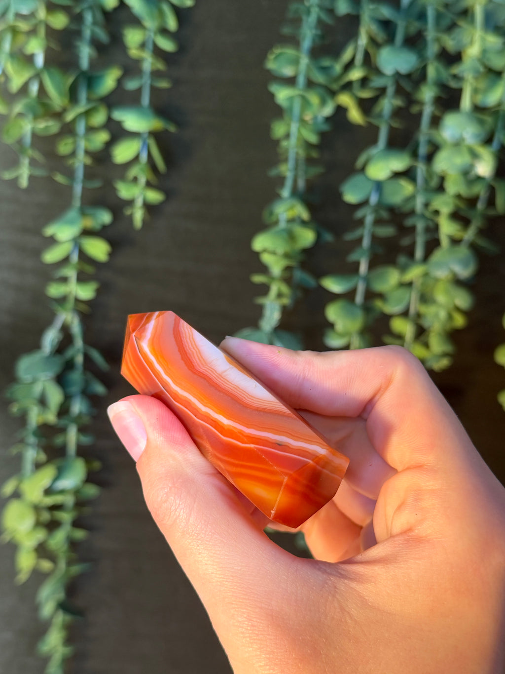 Carnelian Tower #8