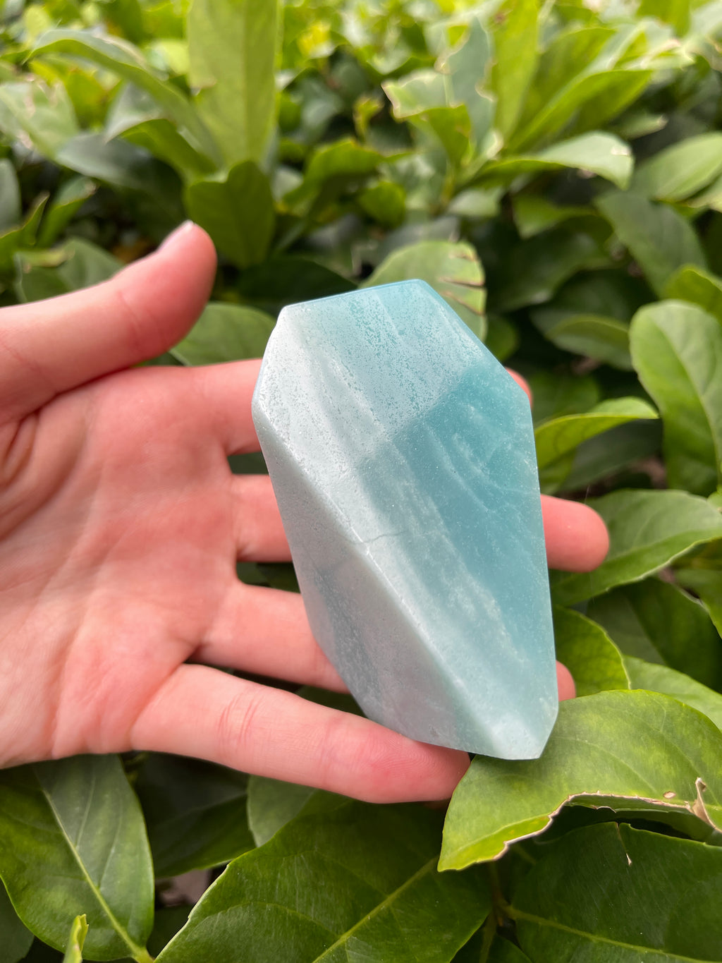 Caribbean Calcite XL Freeform ￼