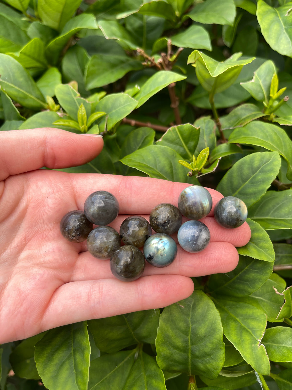 Labradorite High Flash Minis Sphere ￼