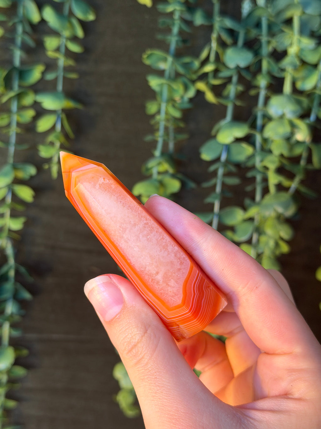 Carnelian Tower #9